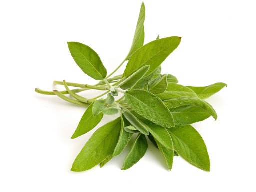 sage