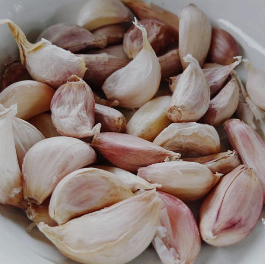 garlic clove